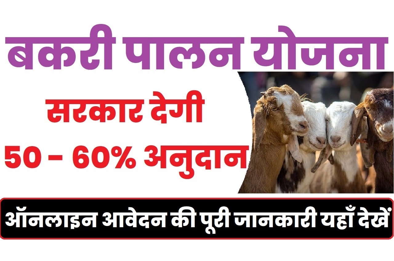 Bihar Bakri Palan Yojana 2023 बिहार बकरी पालन योजना 2023: ऑनलाइन आवेदन, एप्लीकेशन स्टेटस