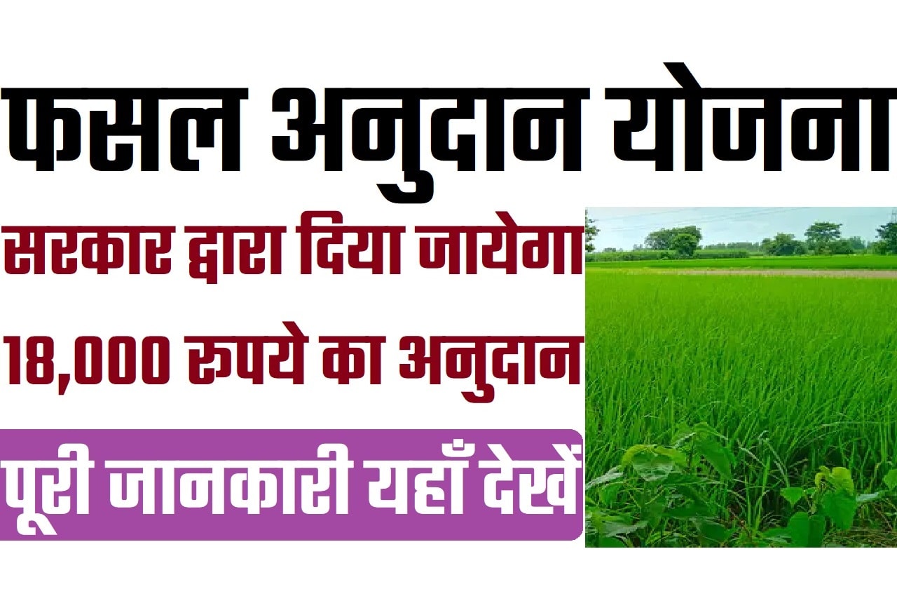 Bihar Fasal Anudan Yojana 2023 बिहार फसल अनुदान योजना 2023: ऑनलाइन आवेदन, एप्लीकेशन स्टेटस