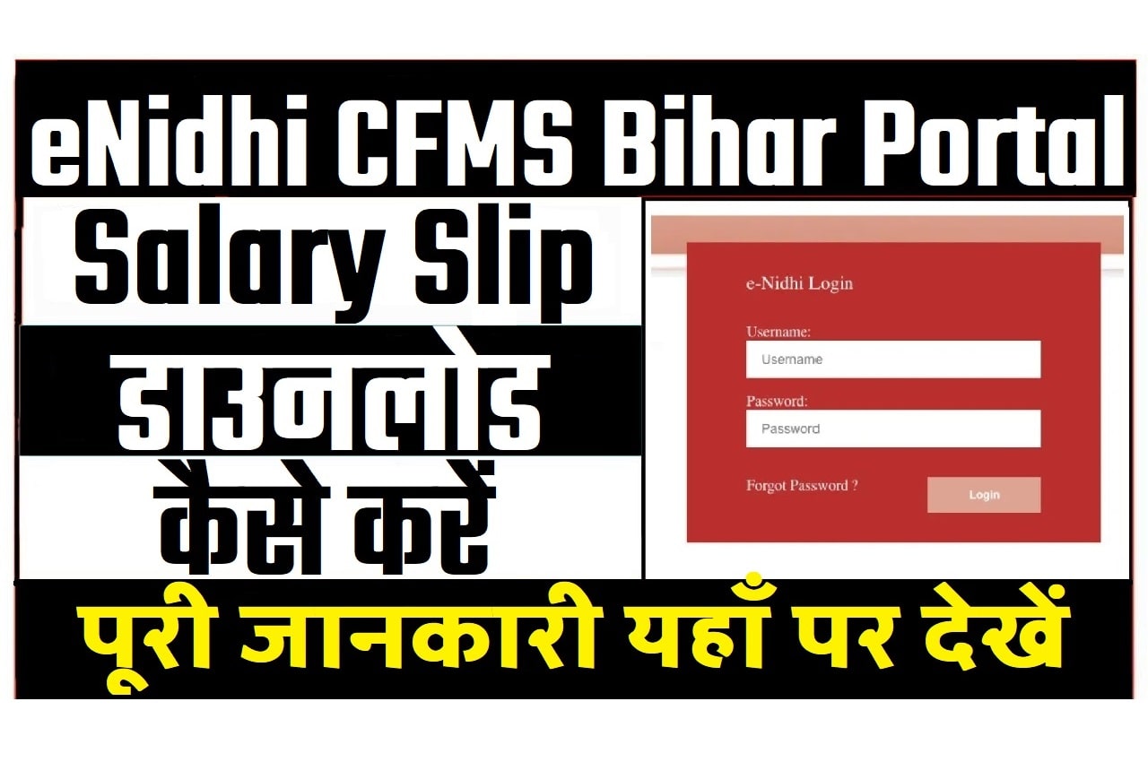 CFMS Bihar Employee Salary Slip, Bill Report Download सीएफएमएस बिहार कर्मचारी सैलरी स्लिप @e-nidhi.bihar.gov.in