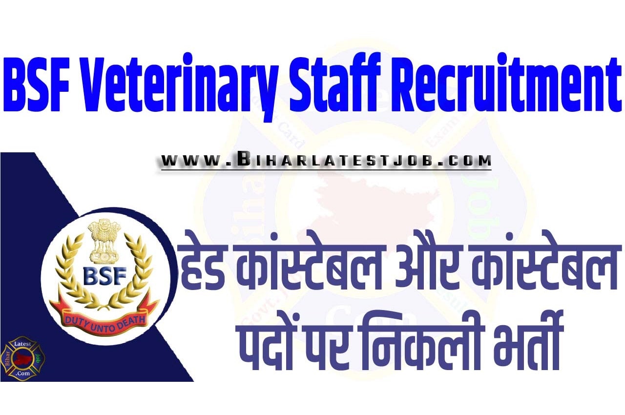 BSF Veterinary Staff Recruitment 2023 बीएसएफ वेटरनरी स्टाफ भर्ती 2023 हेड कांस्टेबल और कांस्टेबल पदों पर निकली भर्ती का नोटिफिकेशन जारी