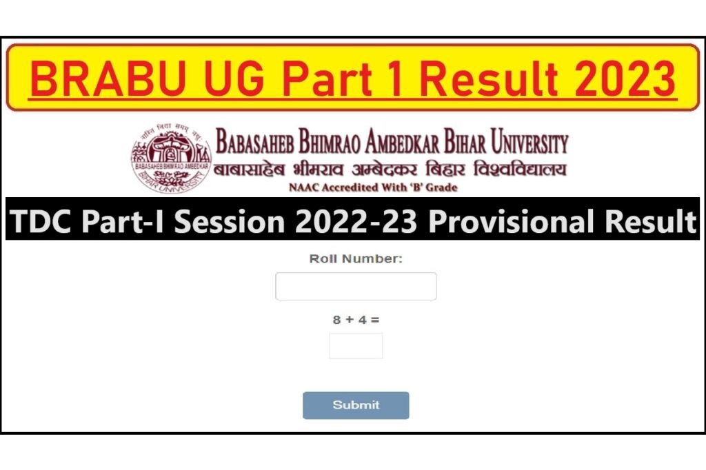 BRABU UG Part 1 Result 2023 स्नातक पार्ट-1 परीक्षा परिणाम जारी, यहां से करें चेक