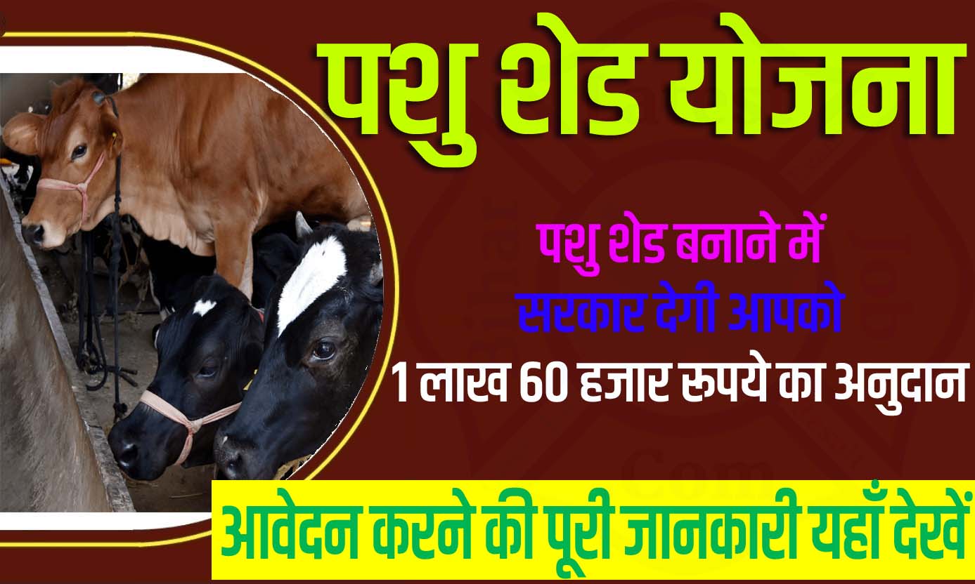 MGNREGA Pashu Shed Yojana 2023 मनरेगा पशु शेड योजना 2023: आवेदन फॉर्म डाउनलोड