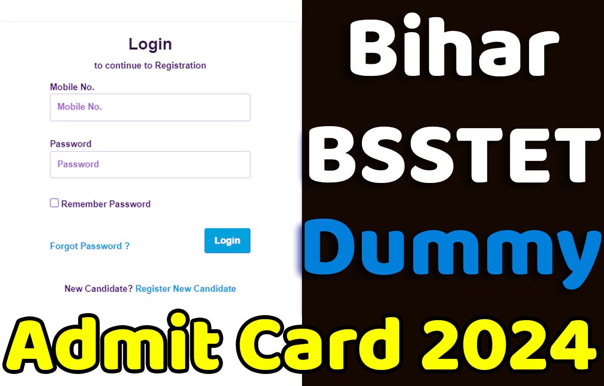 Bihar BSSTET Dummy Admit Card 2024 बीएसएसटीईटी डमी एडमिट कार्ड 2024 ...